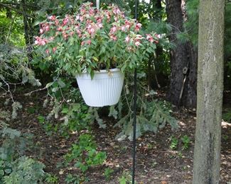 Large Shepards hook and pot of flowers