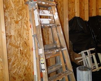 Large extension ladder and smaller wooden ladder