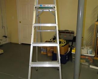 Ladders, a household must have