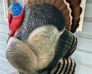 tom turkey by Don Featherstone