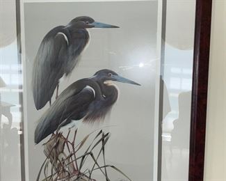 Large , prints.  Audubon,