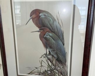 Large Prints, Audubon