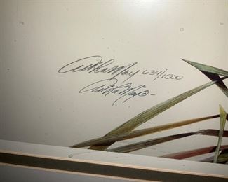 Large prints, Audubon , signed & numbered 