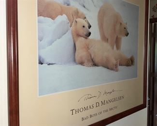 Framed poster, Thomas Mangelsen