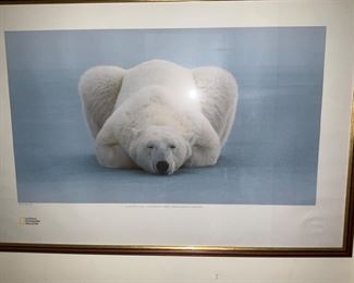 Framed  poster, Thomas Mangelsen