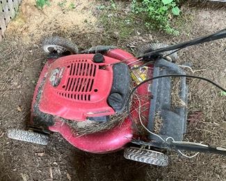 Behind the house under the canopy