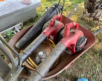 Behind the house under the canopy