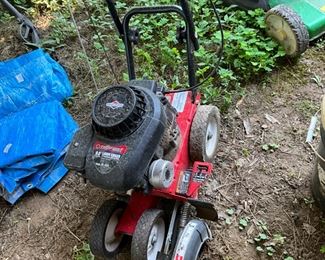 Behind the house under the canopy - edger - needs belt