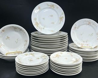 Theodore Haviland Limoges France Pink Spray Pink Roses Dinner Plates, Salad Plates, and Bowls
