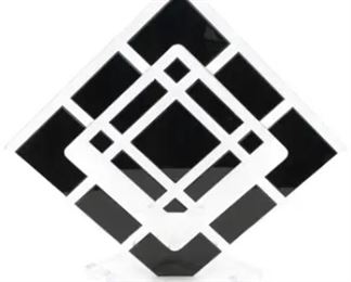 308 David Muniz Signed Acrylic Optical Sculpture