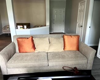 Item Offsite Sofa $300
