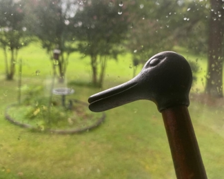 Cast iron duck cane looks forlornly upon his wild avian brethren as they bathe in the crisp drops of a summer rain.