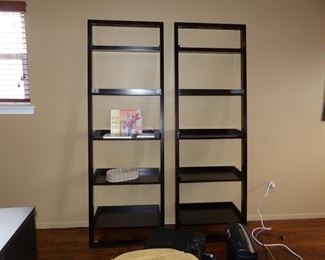 Ladder bookshelves