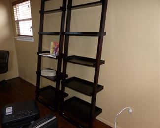 Ladder bookshelves
