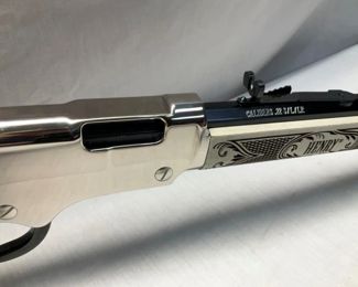 SILVER AMERICAN EAGLE 22LR