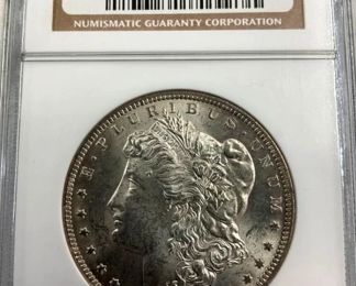 VAM-3 SPITTING EAGLE