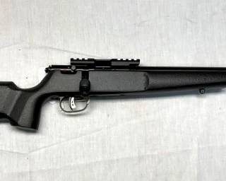 485DL SAVAGE RASCAL TARGET 22LR