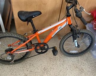 Diamondback Cobra 20 Childrens Bicycle 