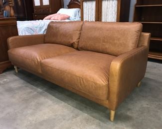 Modern Leather Sofa