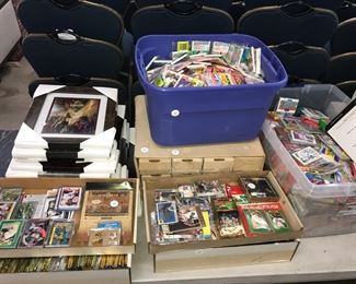 Collectible Trading Cards Orlando Auction