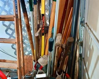 Assortment of Rakes, Gardening Tools