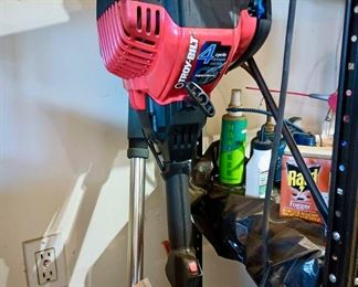 Troy Bilt 4 Cycle Weed Eater