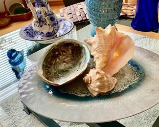Assortment of Conch Shells, Sea Shells
