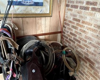 saddles and tack