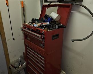 One of many Craftsman