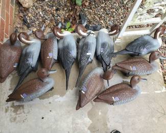 Numerous plastic decoys
