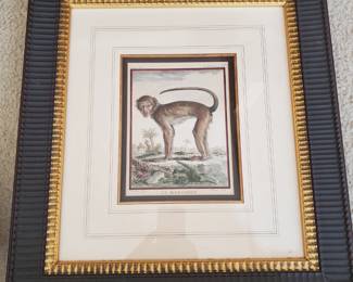 Buffon Animal prints