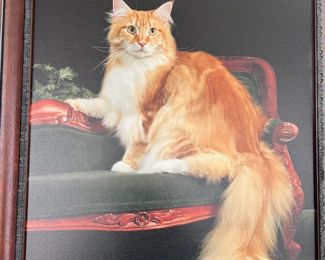 What's new, pussycat? Plenty of pretty pictures at this sale!