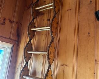 Unique vintage boarding ladder