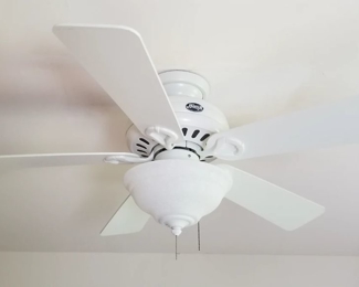 Hunter ceiling fan with light