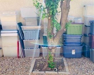 Lots of Storage Containers