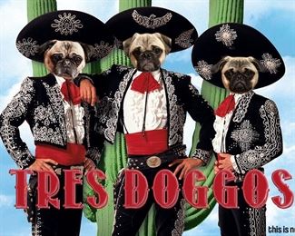 Tres Amigos (This is not a actual item in the sale) 