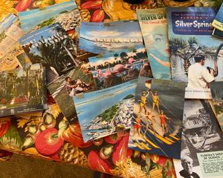 Vintage Florida Postcards