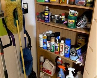 MORE HOUSEHOLD CLEANERS.
