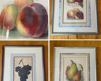 Antique Framed Fruit Lithographs from John Wright's Fruit Growers Guide, printed in 1879.
