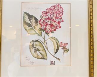 Pair Hydrangea Botanical Prints