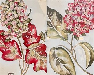 Pair Hydrangea Botanical Prints