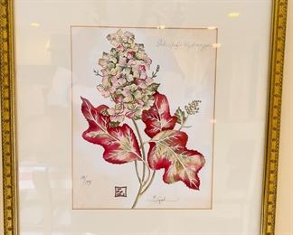 Pair Hydrangea Botanical Prints