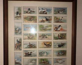 Player Cigarette Duck Inserts