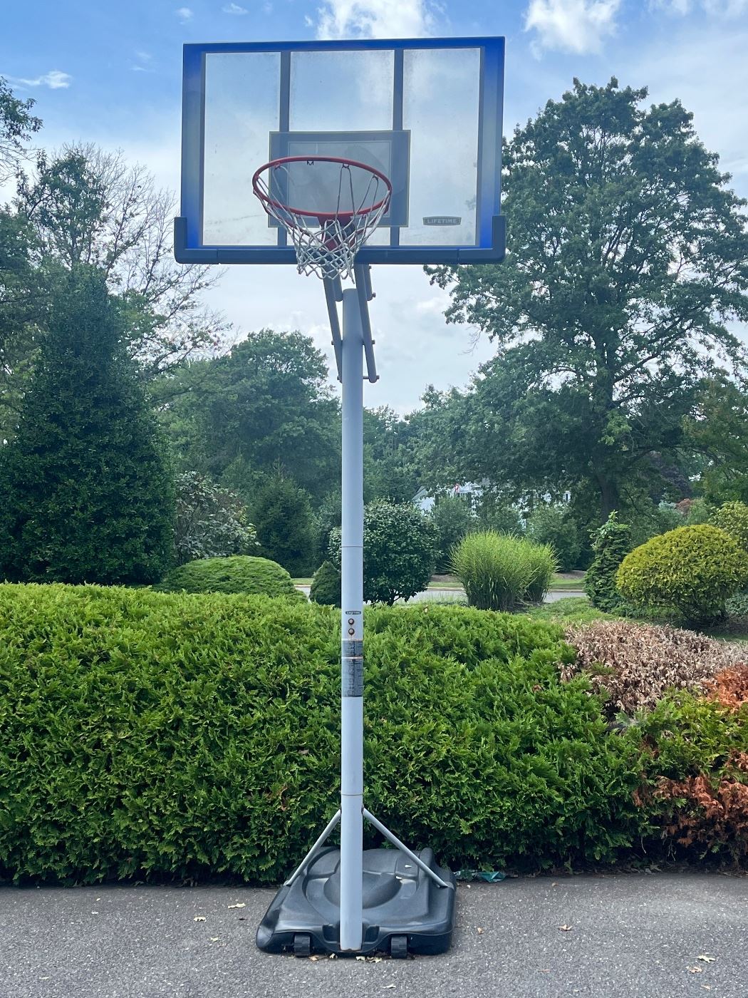 Blackswans Sale by Appointment Rumson starts on 8/5/2023