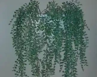 Wall Hanging Ivy Plant