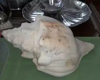 Large Shell Door Stop