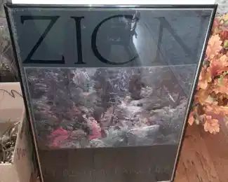 Zicn Framed Poster