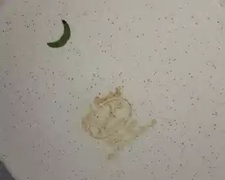 Vintage Stanley Mid-Century Teapot