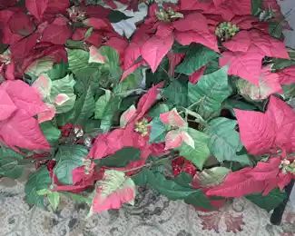 Faux Poinsettia Plants