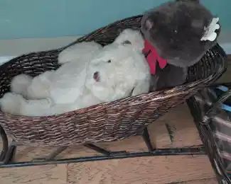 Plush Gund Bears In Wicker Sleigh